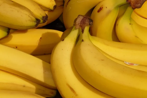 A banana desempenha um papel importante tanto na alimentação quanto na economia de diversos países