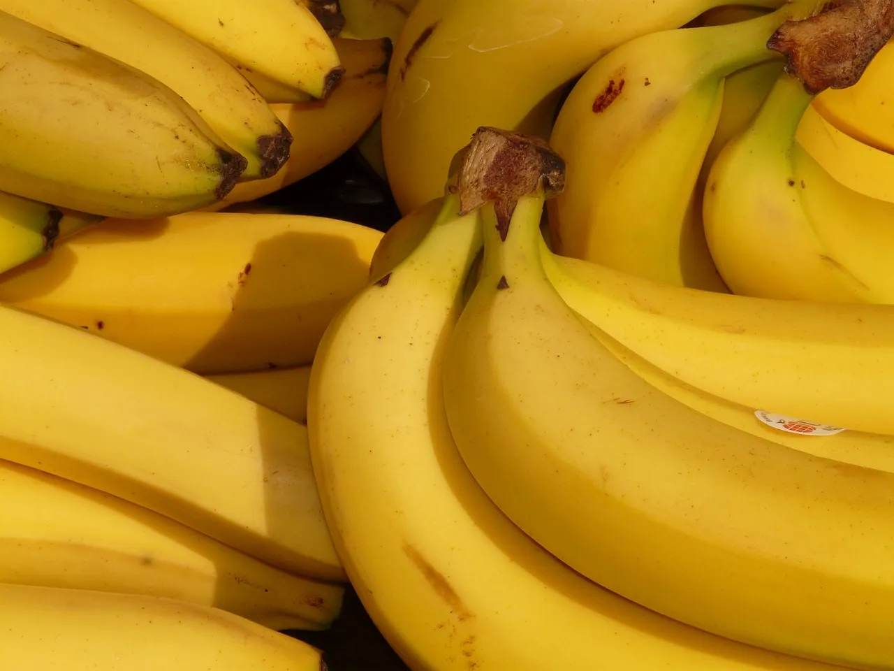 A banana desempenha um papel importante tanto na alimentação quanto na economia de diversos países