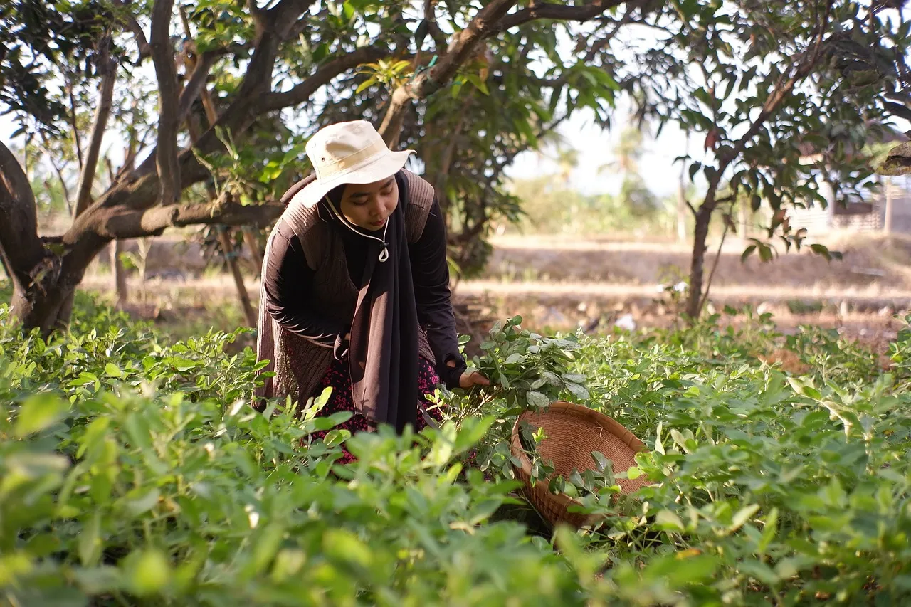 A agroecologia se conecta diretamente à saúde pública